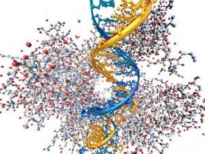 学会・国際シンポジウム・大学学部・大学学科・大学研究室・大学病院・研究機関さま、教育分野のホームページデザイン制作・作成